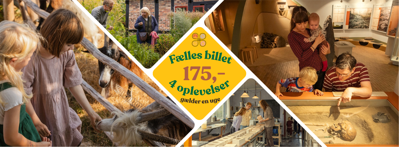 Bliv medlem af Bornholms Museumsforening - med fordele